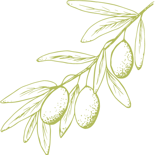 recolección de oliva