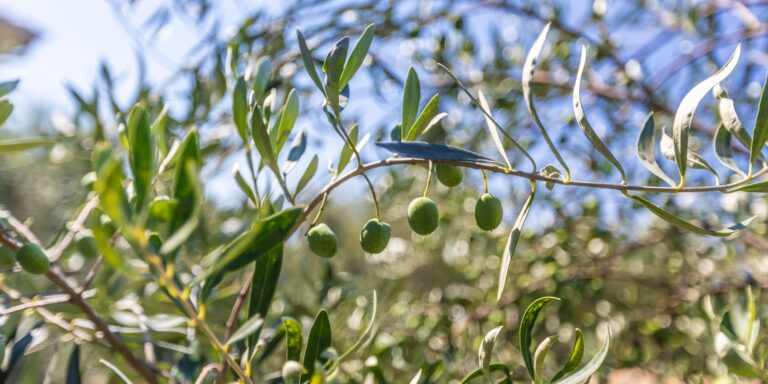 fondo_banner_contacto