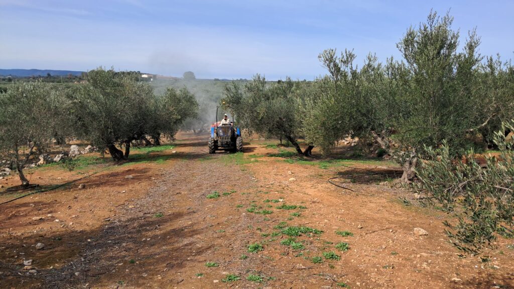 trabajos_tractor6